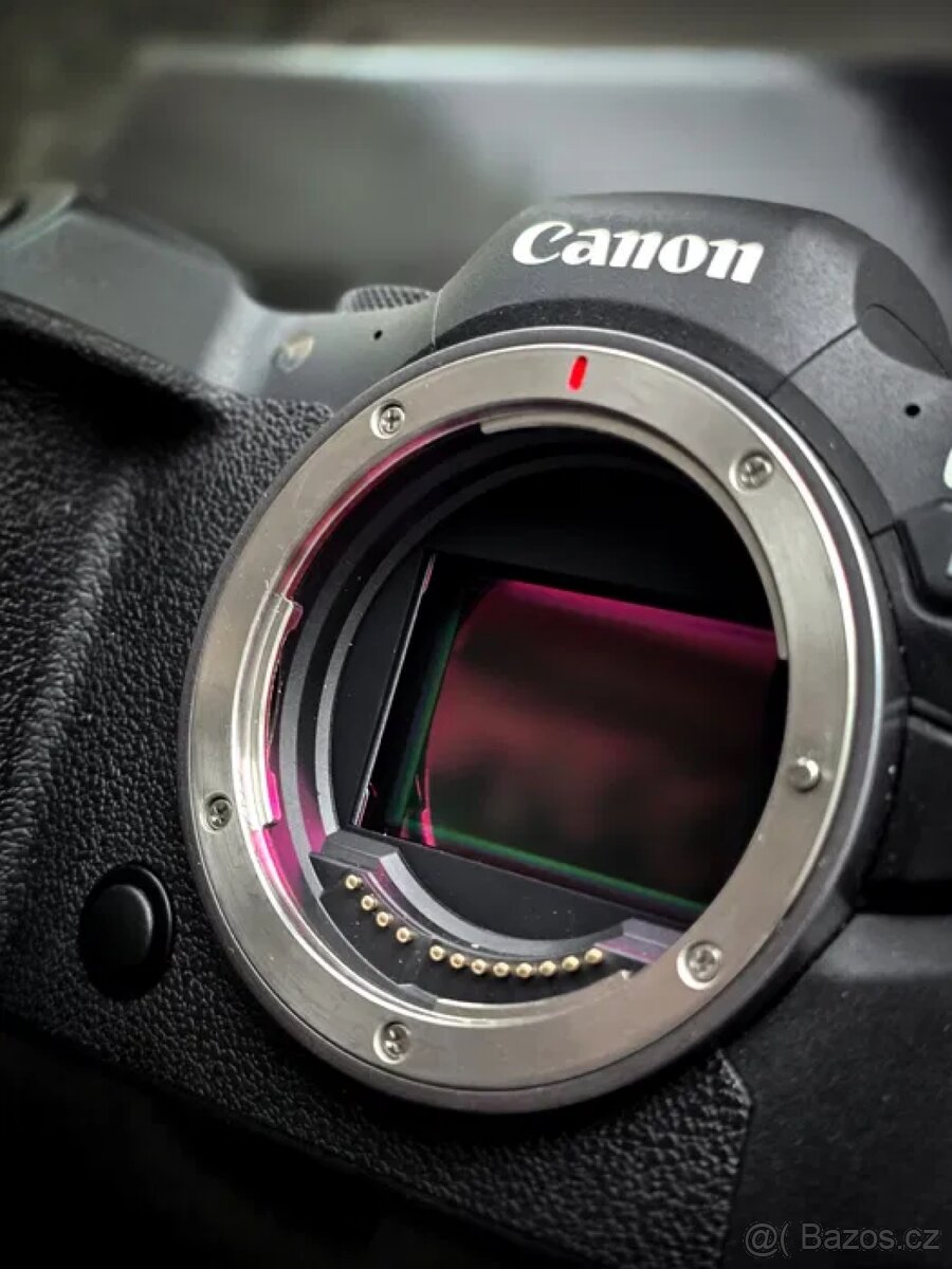 Canon R6 - 5