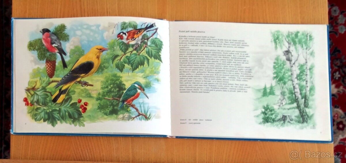 příroda a zvířátka - 5