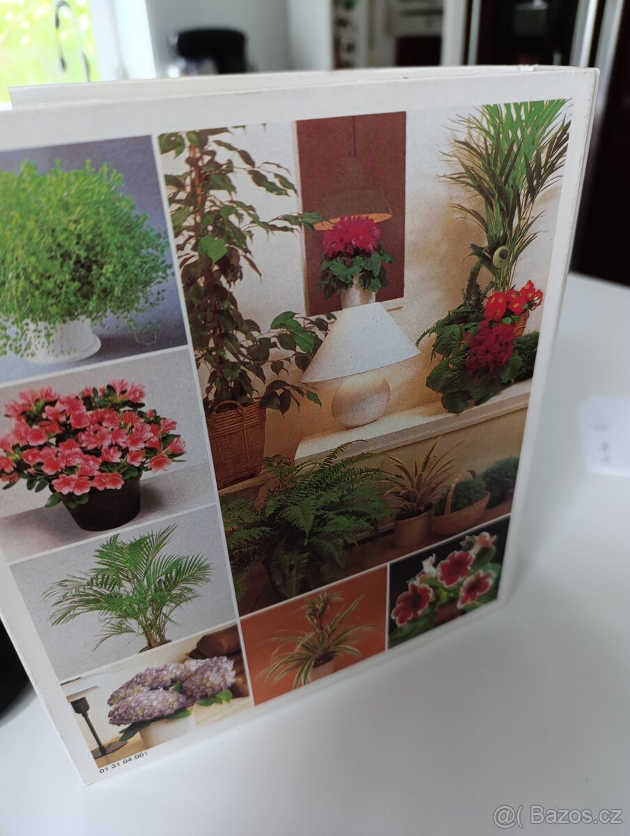 Pokojové květiny od A po Z - 5