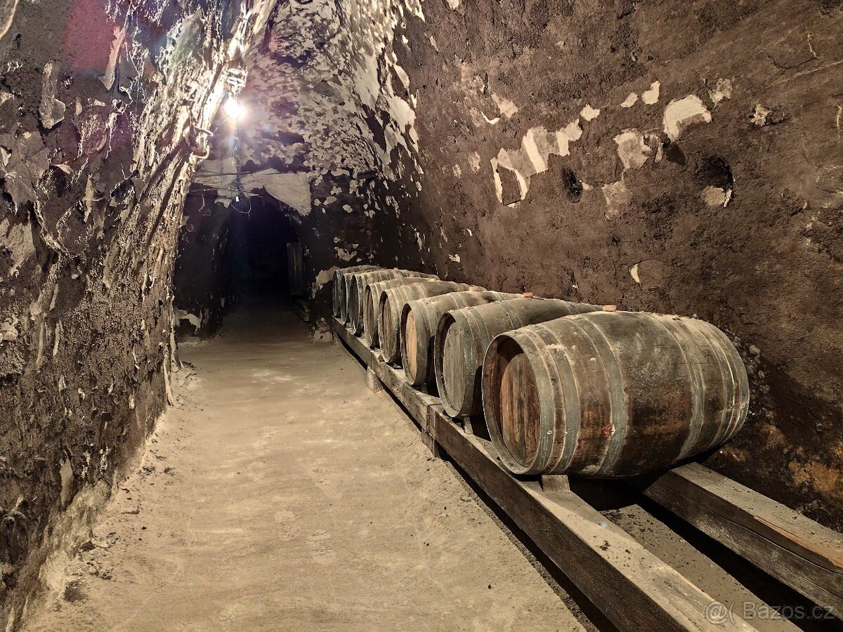 Pronájem, vinný sklep s lisovnou, Nový Šaldorf - 5