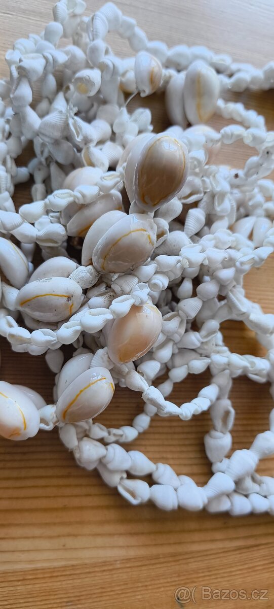 Mušle - 5