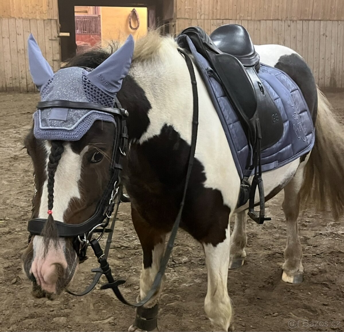 Eskadron Glossy Essence 2022 - 5