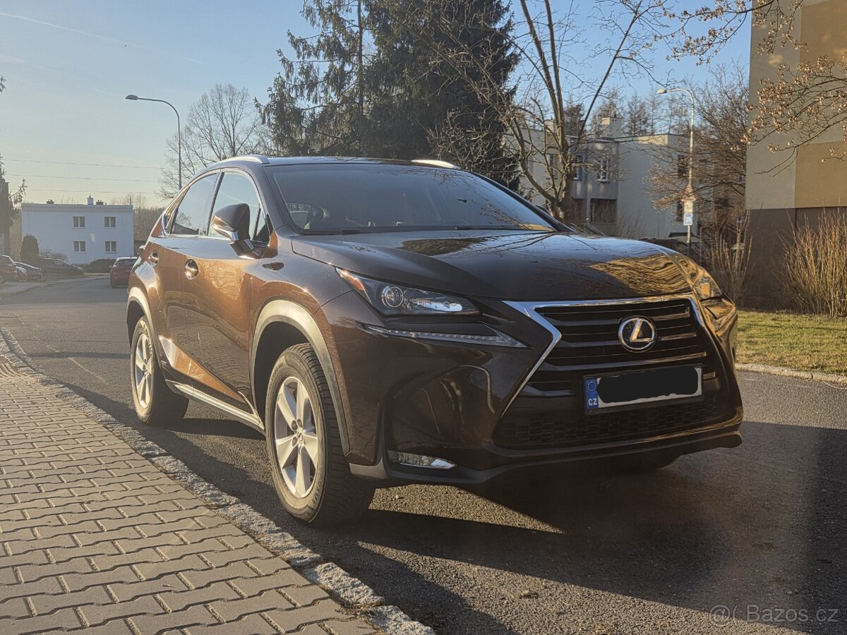 Lexus NX300h - 5