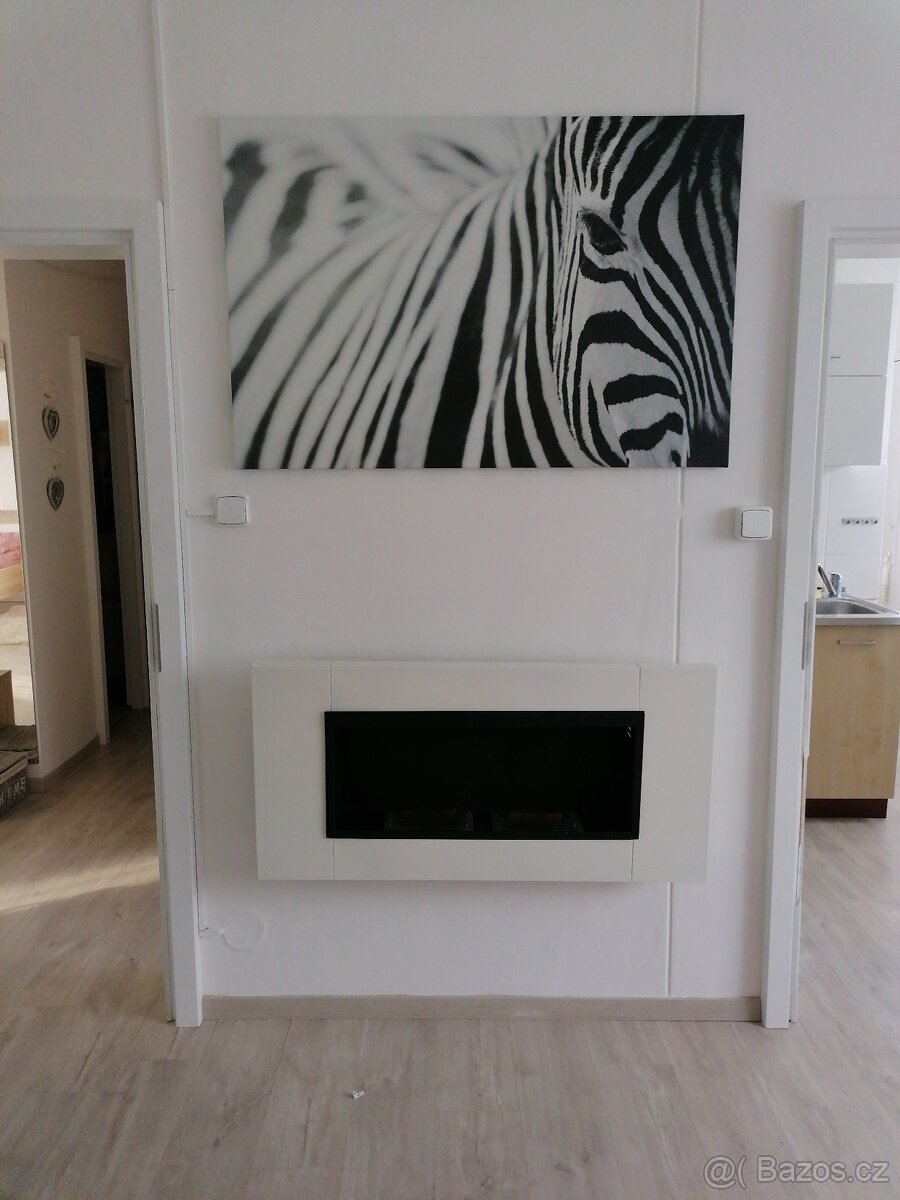 Pronájem bytu 3+1 - 5