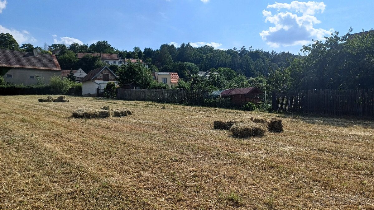 Seno luční - malé balíky - sklizeň 2025 - 5