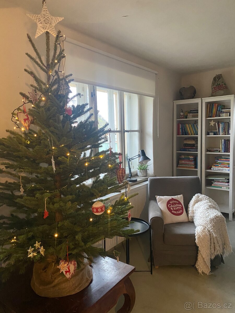 Rodinný dům k pronájmu - 5