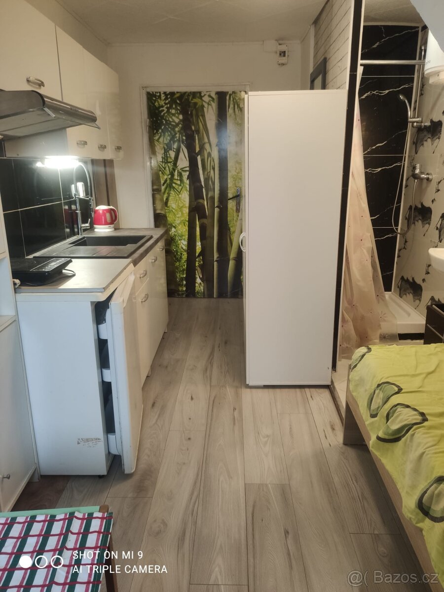 Pronájmu byt 1+KK v Karlovych Varech - 5