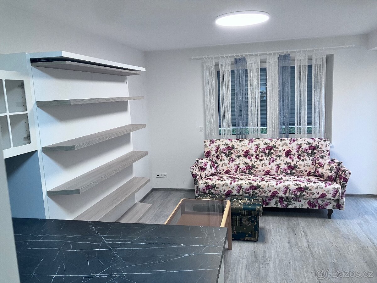 Dlouhodobý pronájem bytu 1+KK v novostavbě - 5