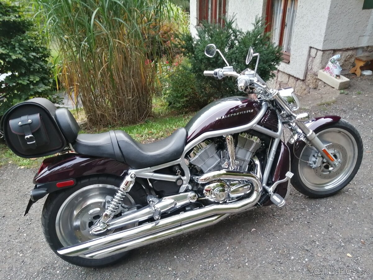 Harley Davidson - V ROD VRSCA - 5