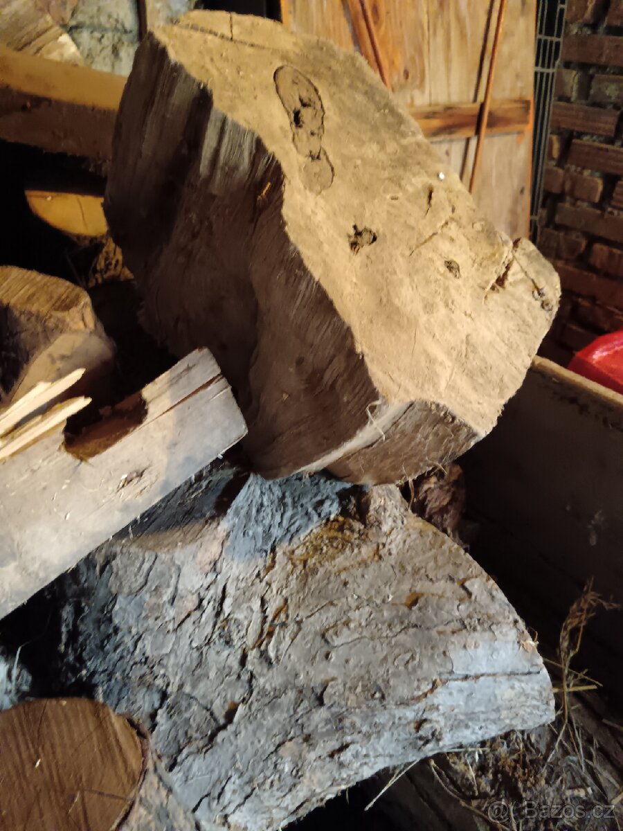 Ultra tvrdé suché dřevo - 5