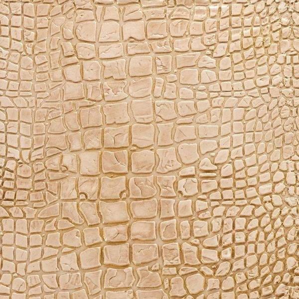 Nový válec SPIVER Coccodrillo se šířkou 18 cm - 5