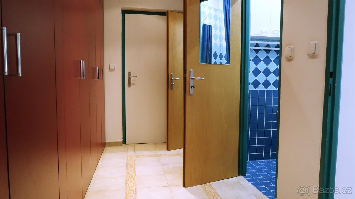 Světlé 2+1 na Petřinách, minutu od metra - 5