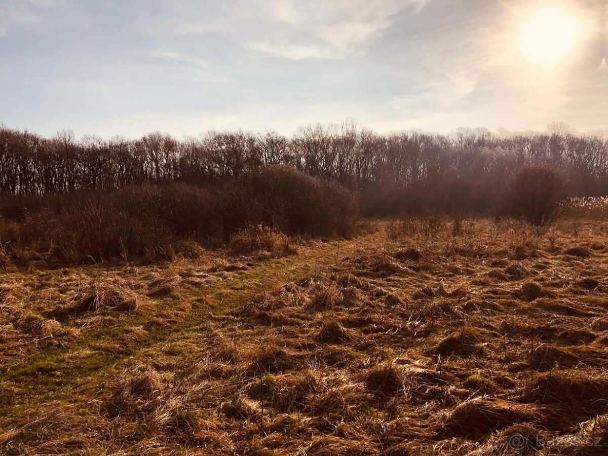 Lúka Malé Leváre, 26 385 m² pri Morave - 5