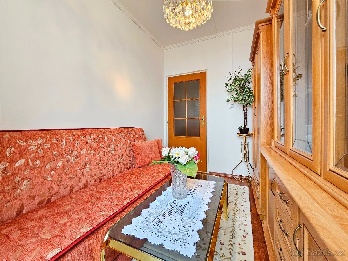 Prodej bytu 3+1, ul. Pod Břízami - 5