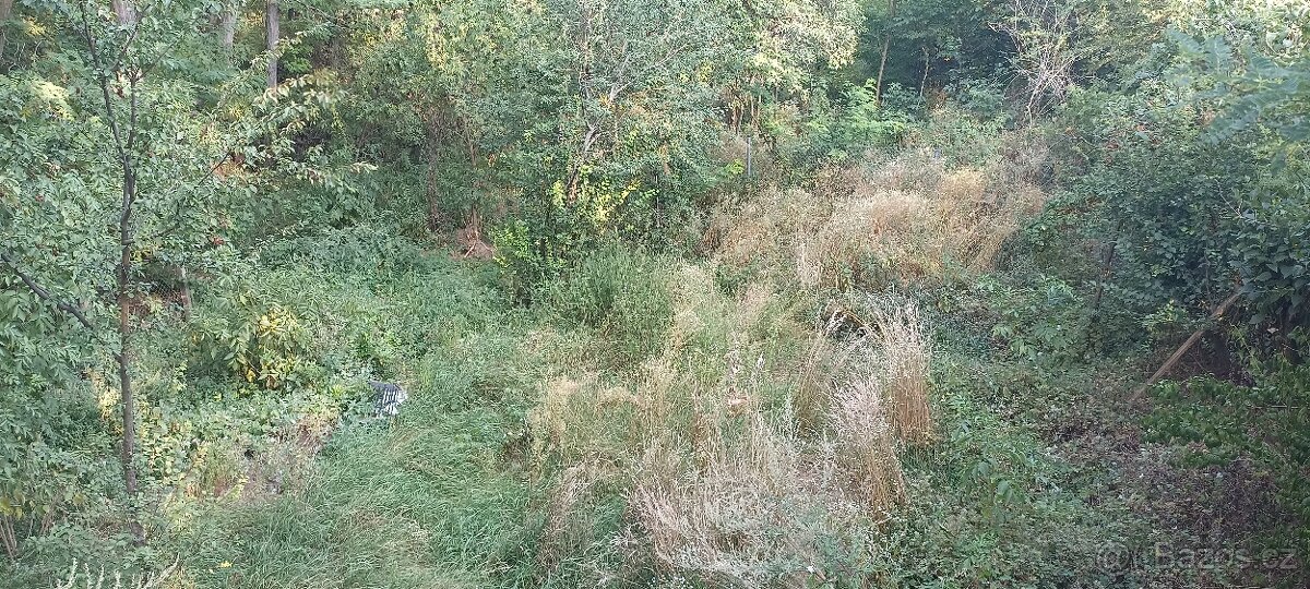 Prodej zahrady s chatkou, CP 1167 m², Sobotovice - 5