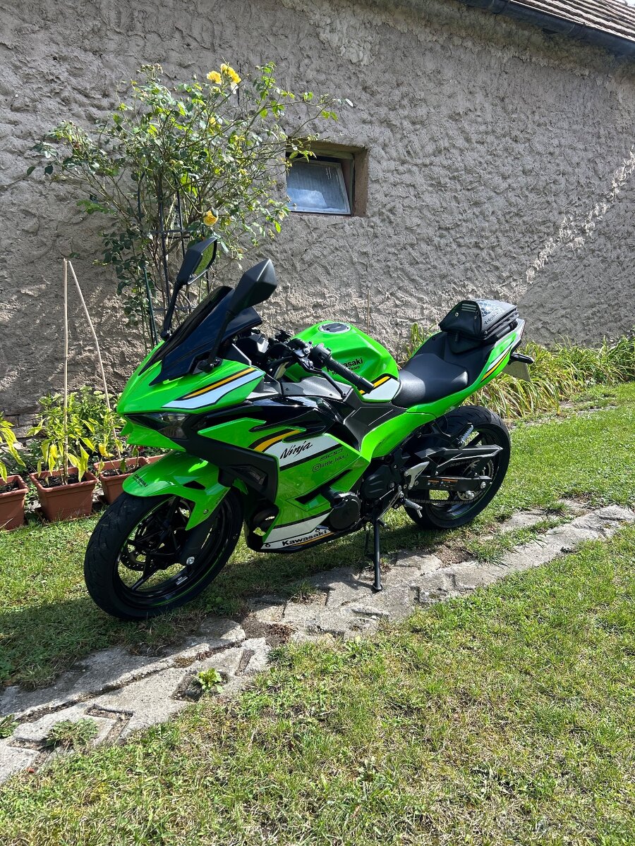 Kawasaki Ninja 500 SE, 2025 - 5