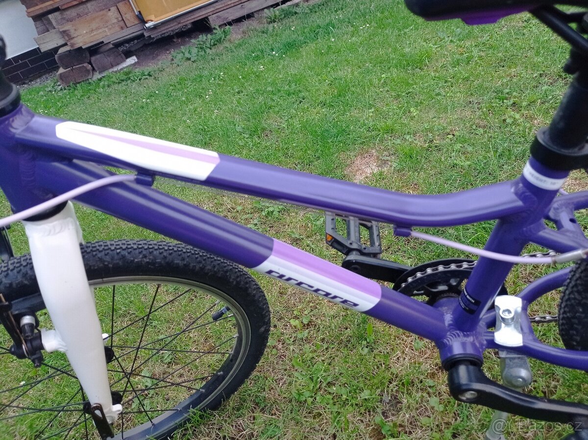 Dětské kolo Arcore 20" - 5