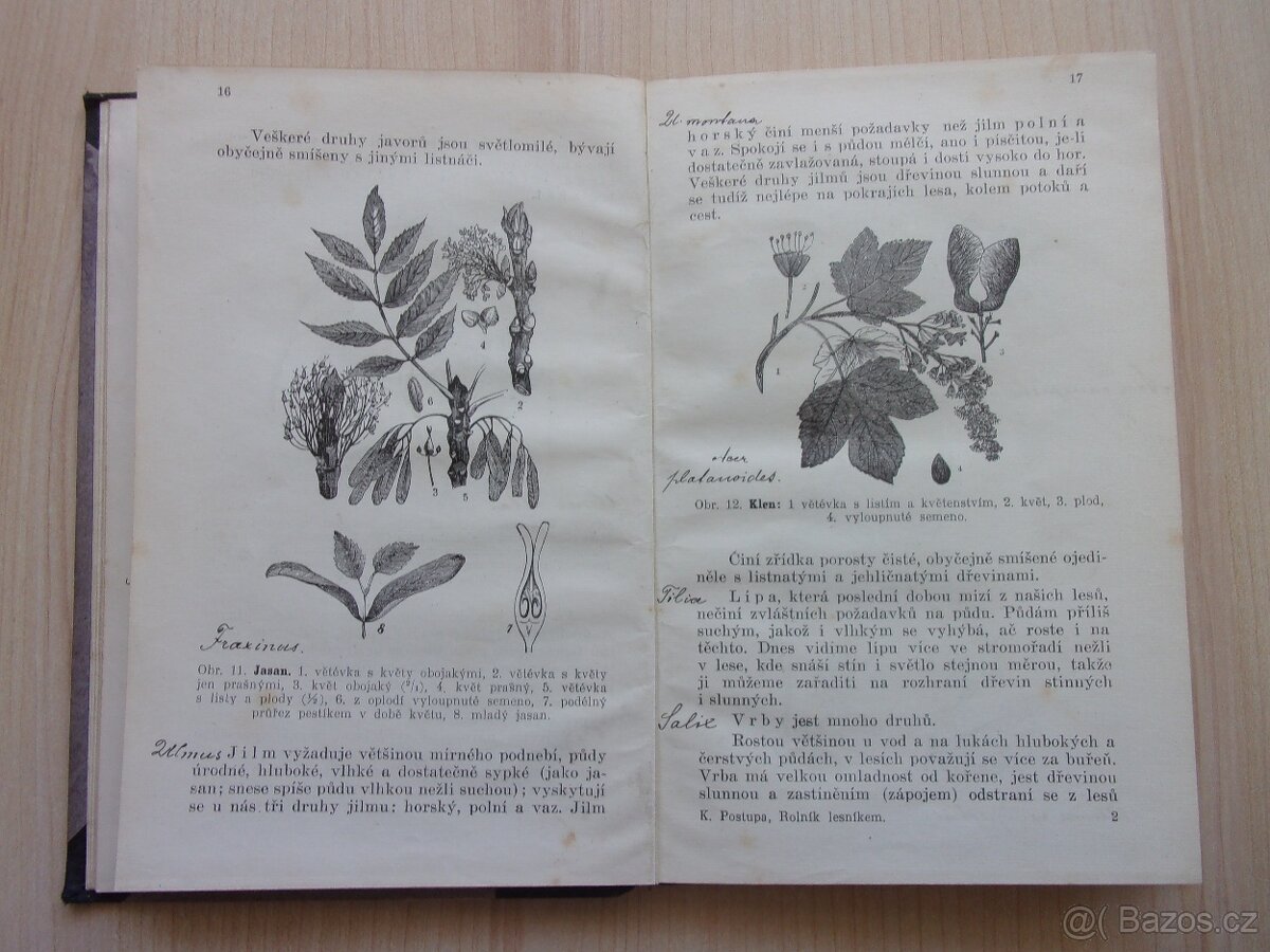 Konrád F. Postupa - ROLNÍK LESNÍKEM - r. 1912 - 5