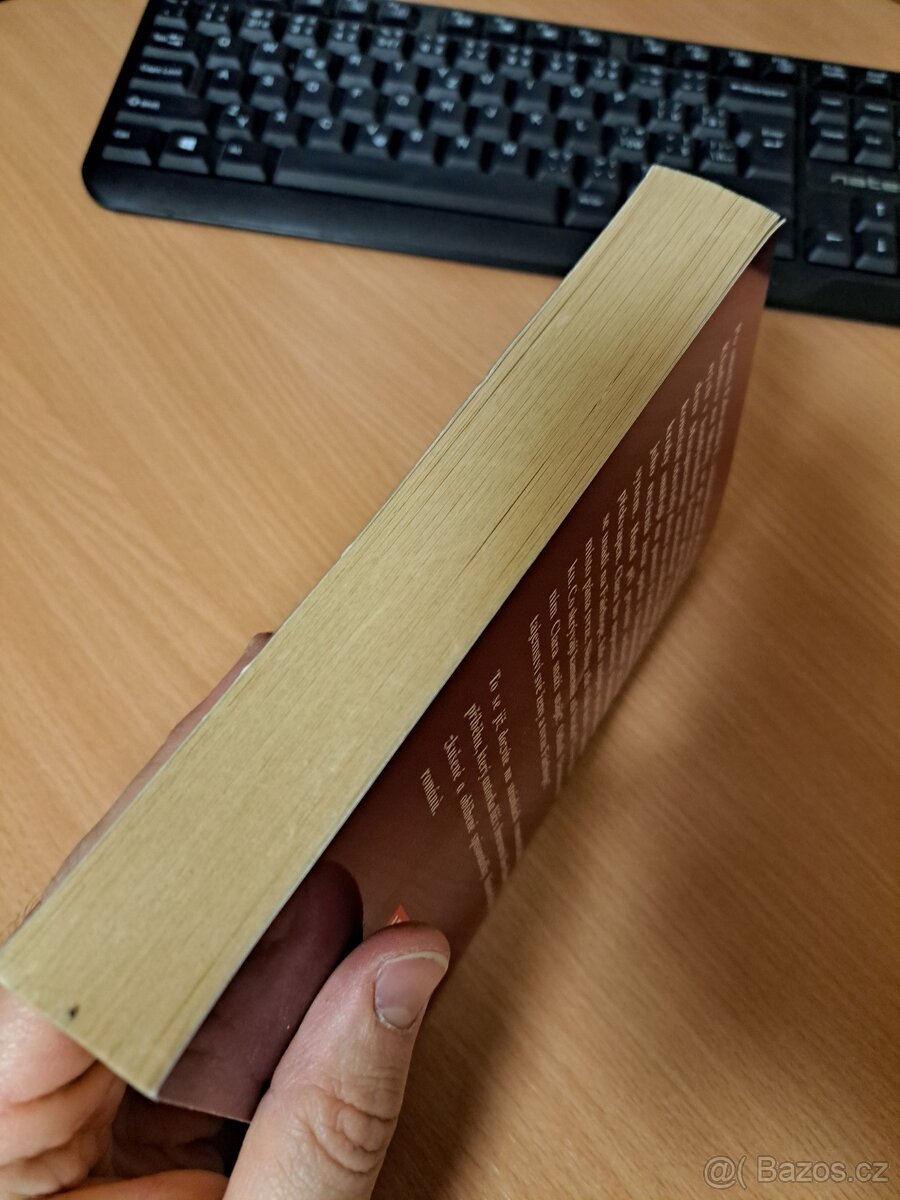 Temná vášeň - Arnette Lamb - 5