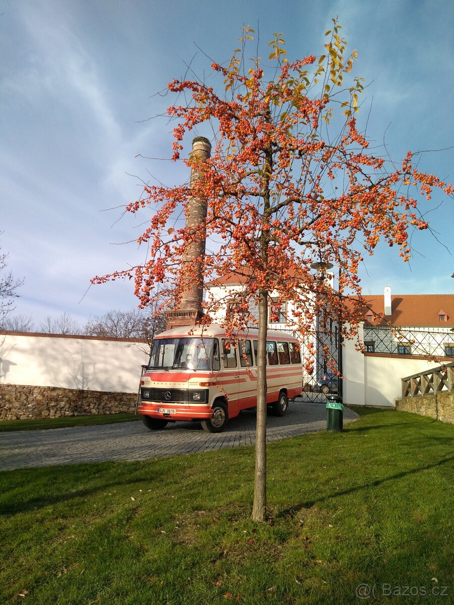 Veterán, historický autobus - 5