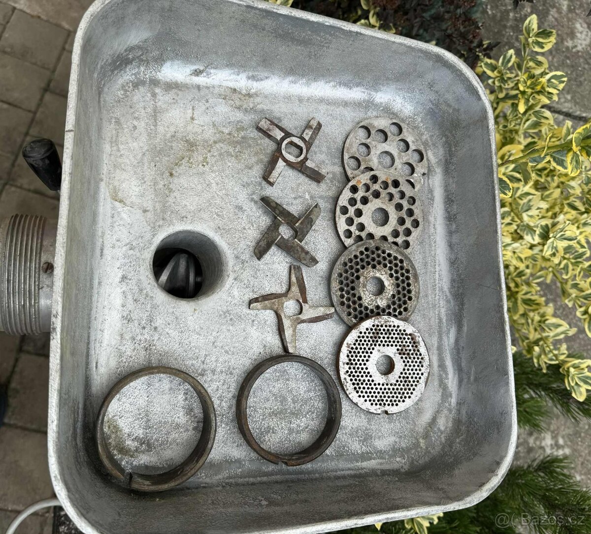 Řeznický vlček - 5