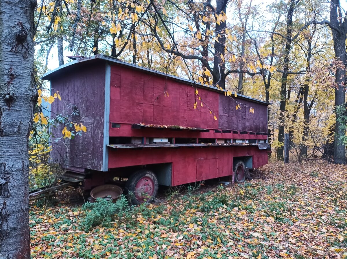 Prodám 2x MARINGOTKU - 5