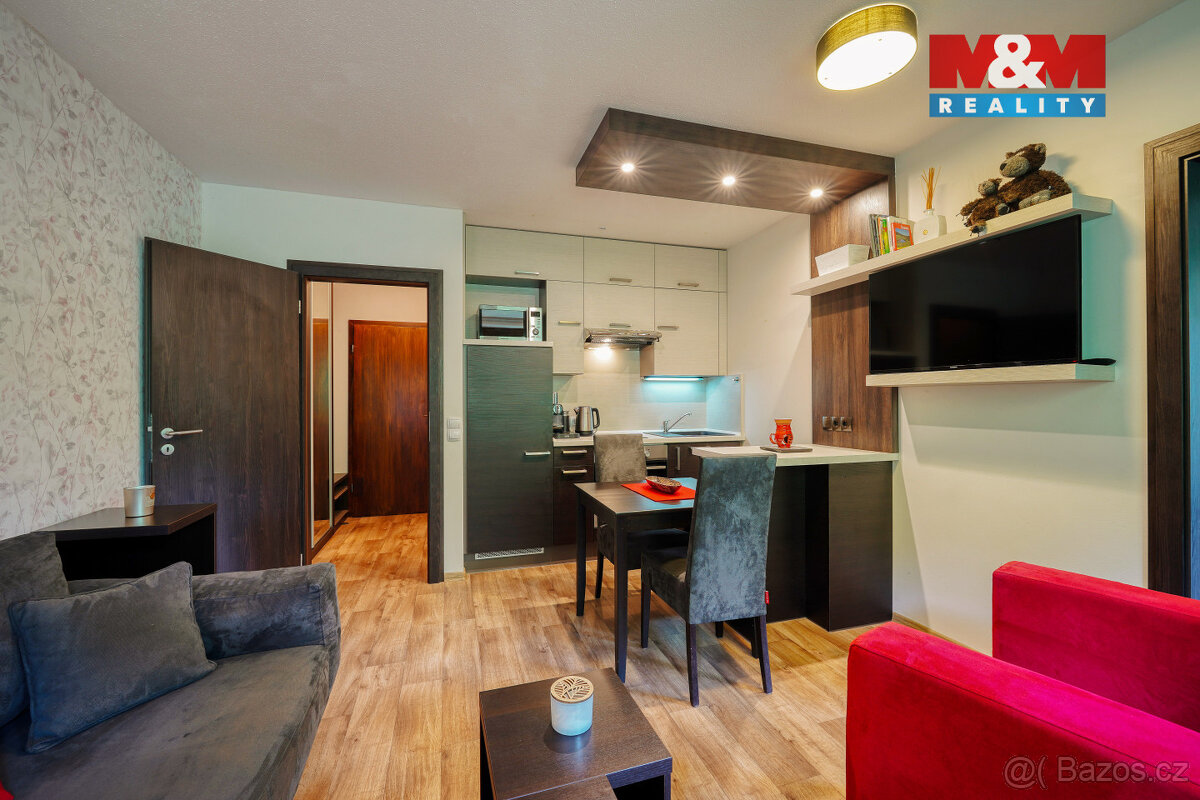 Prodej bytu 2+kk, 55 m², Železná Ruda - 5