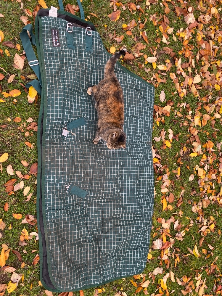 Deky, Lemieux podsedlovka, martingal, kamaše - 5