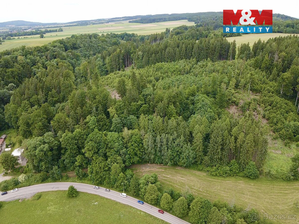 Prodej lesa, 2745 m², Ústí nad Orlicí - 5