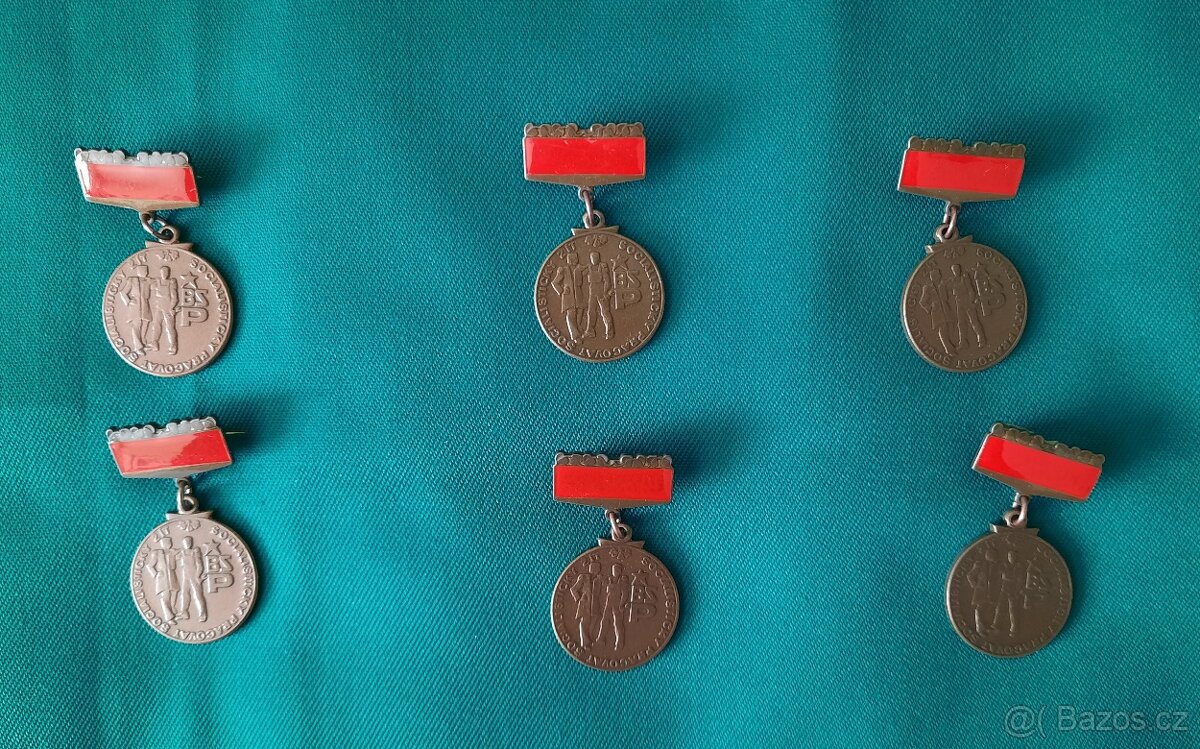 Bronzový odznak BSP - 5