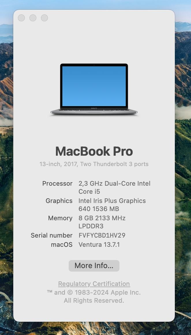 MacBook Pro 2017 | 2.3 GHz | 256 ssd | 8 RAM - 5