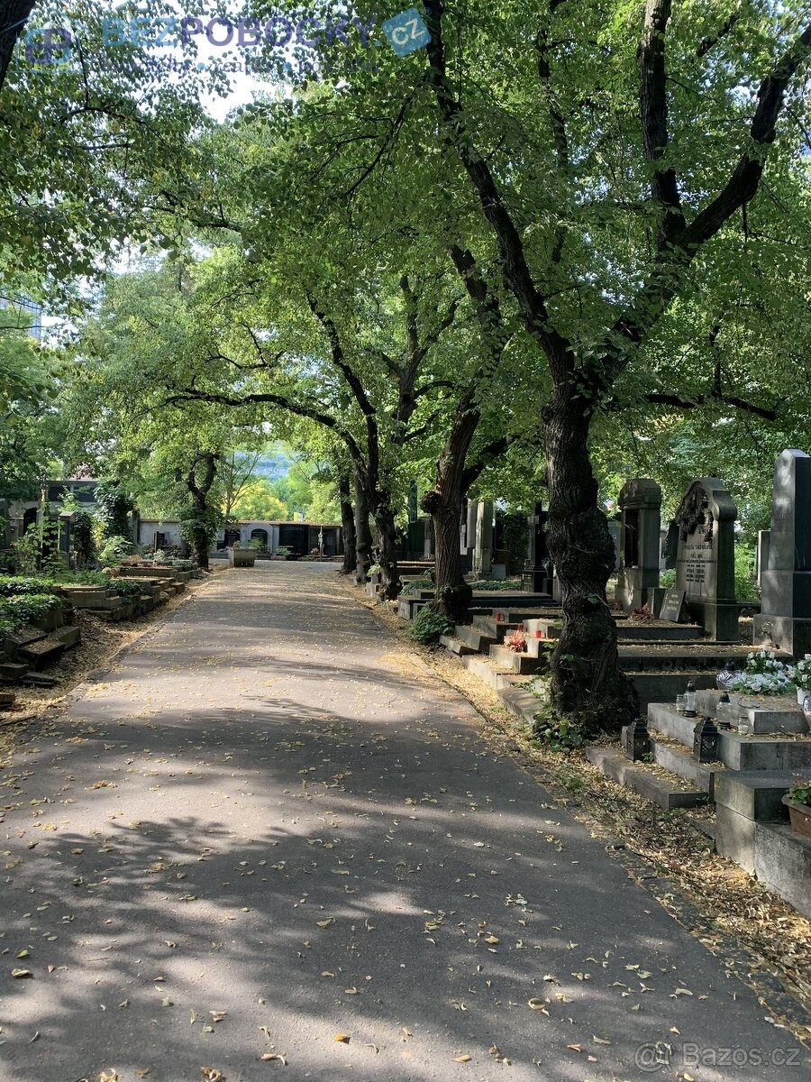 Prodej hrobky na Olšanských hřbitovech v Praze - 5