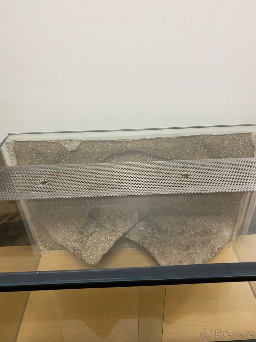 Terarium 60x39x39 - 5