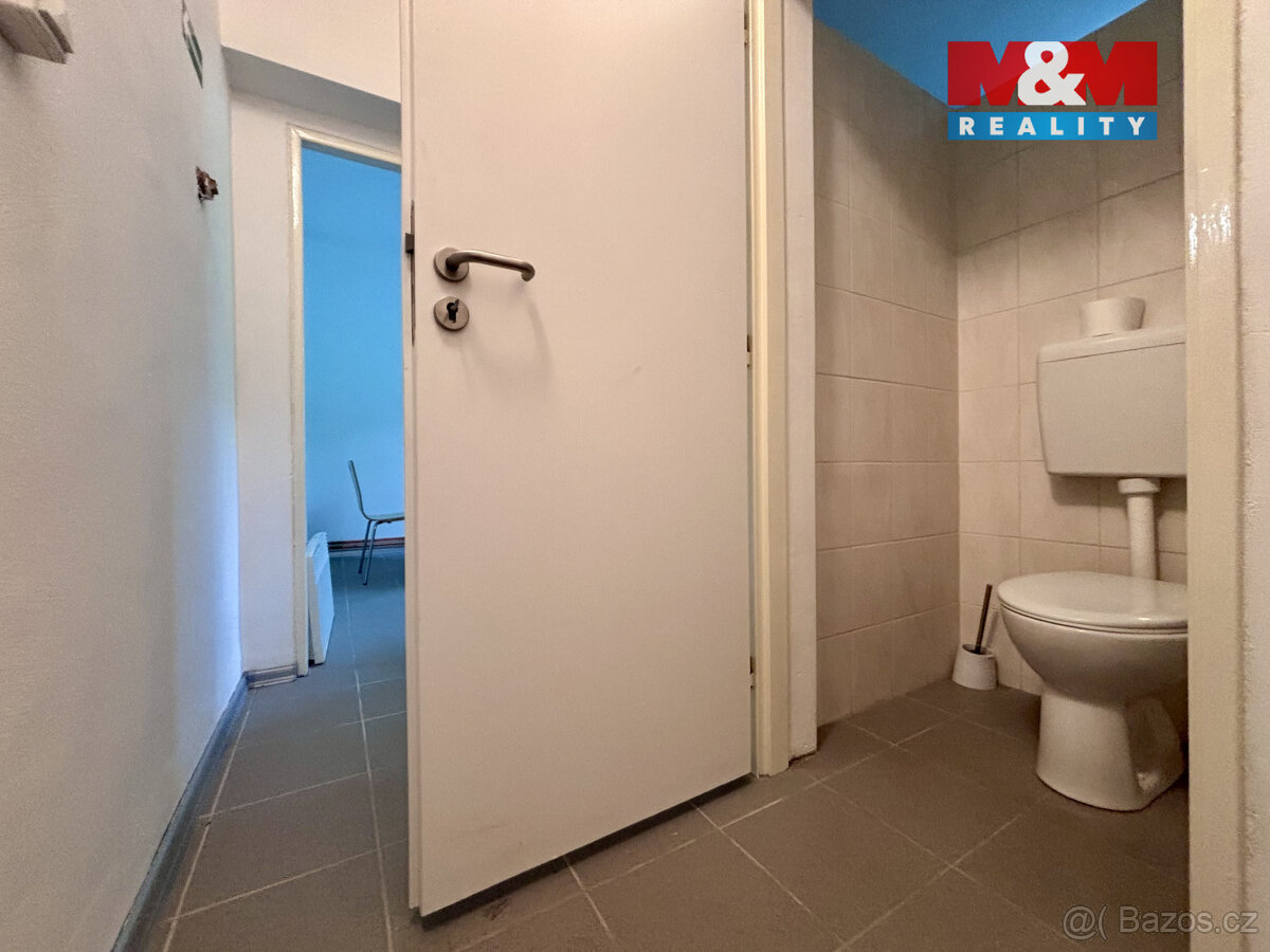 Pronájem skladu v Česticích - 5