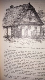 Květy 1885-1889 - 5