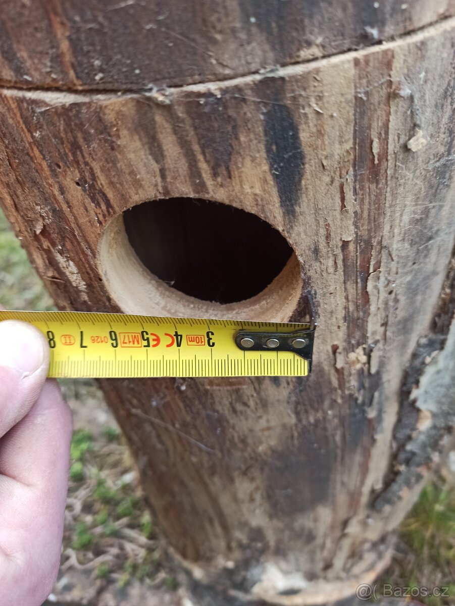 Kmenové budky - 5