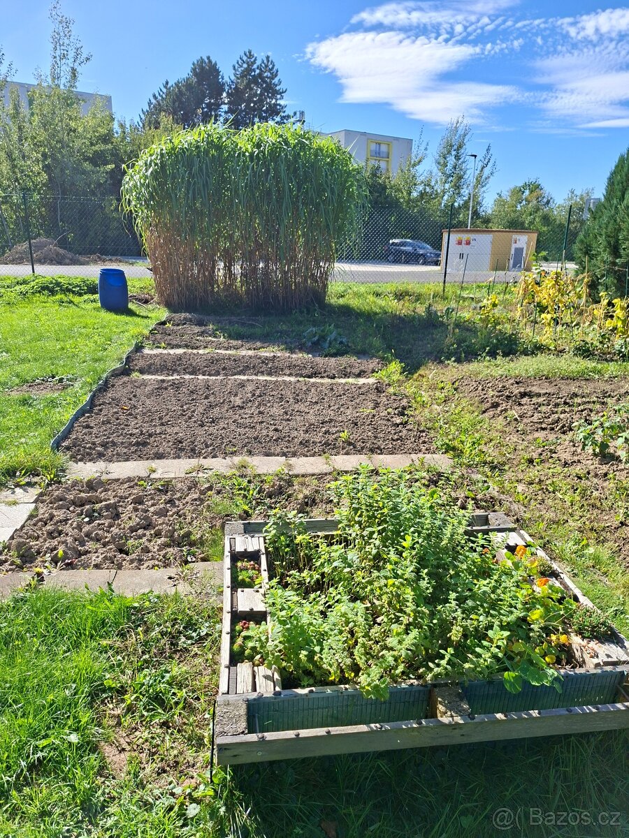 Prodej zahrady - 5