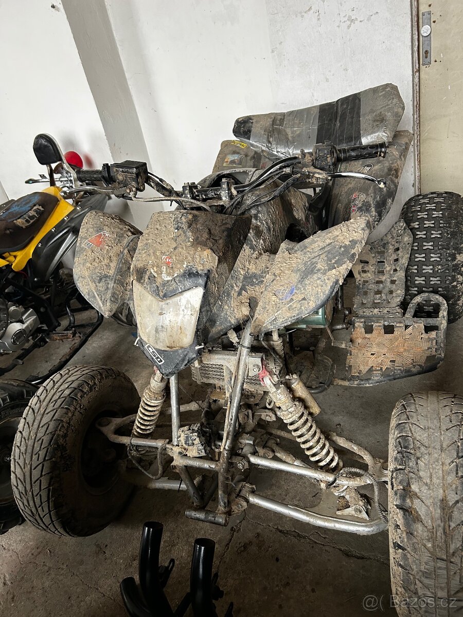 650 Campell Bashan 250 - 5