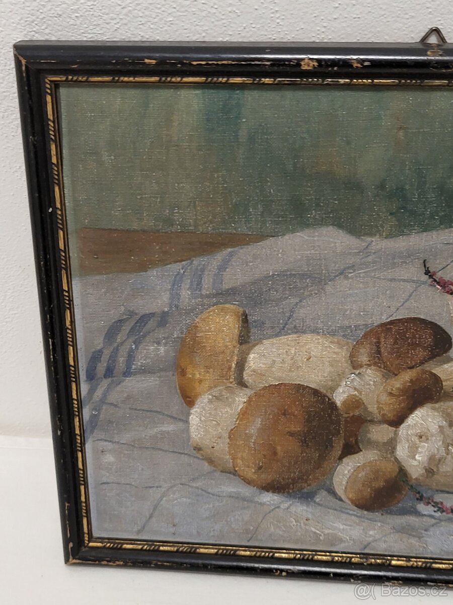 obraz olej na plátně B.Franke - houby - 5