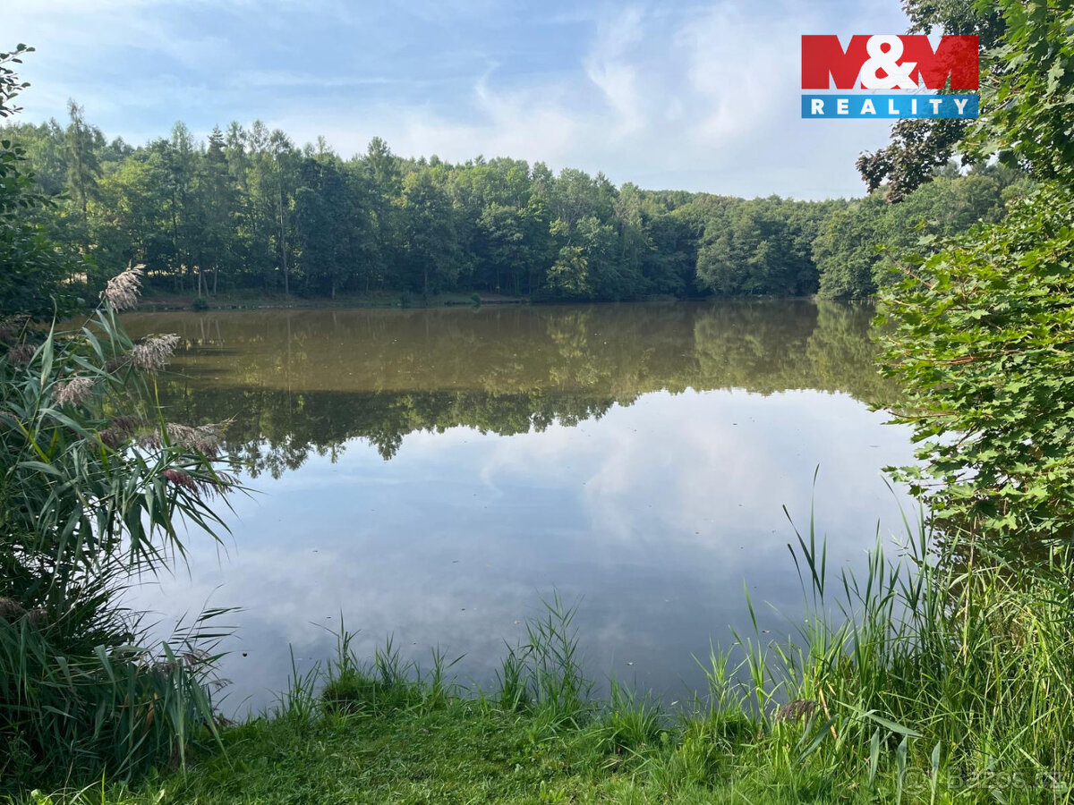 Prodej chaty, 21 m², Bílichov - 5