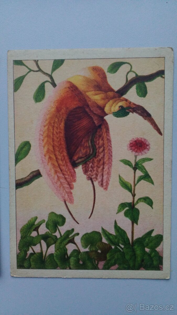 Staré pohlednice, Otto Zahrada, 3 ks - 5