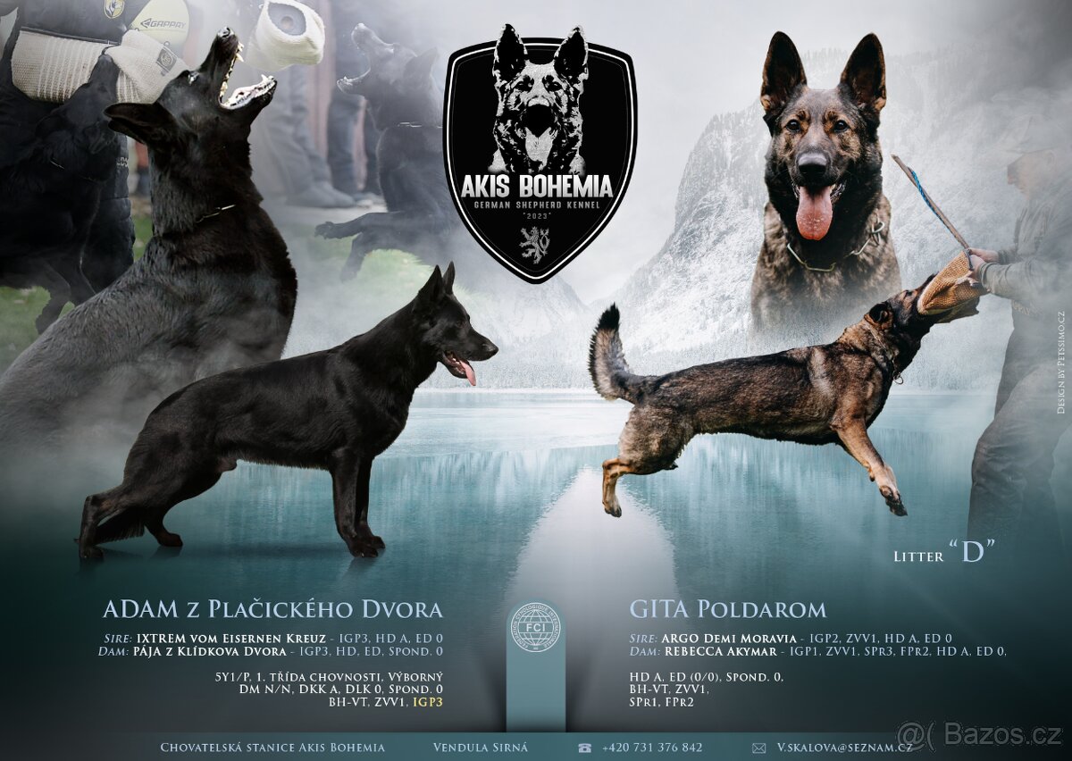 Německý ovčák - štěňata s PP - 5