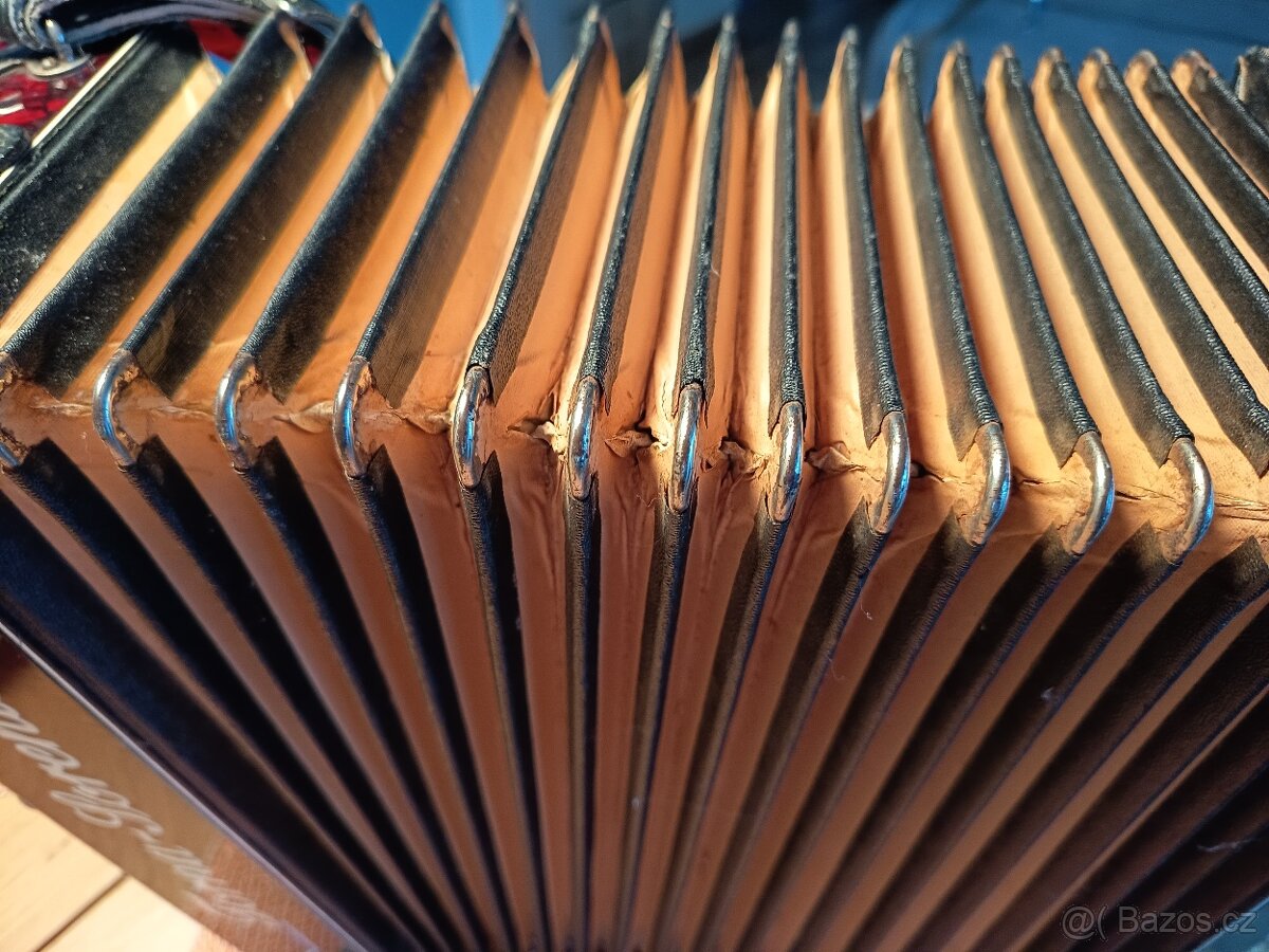 Harmonika Torna Sorenta - 5