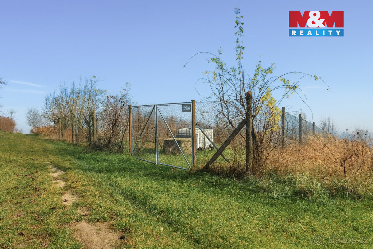 Prodej vinice, 1791 m², Bukovany - 5