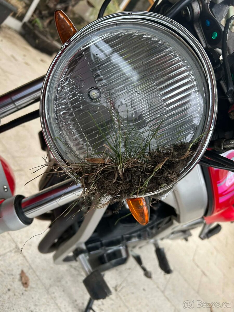 SUZUKI GS500E - 5