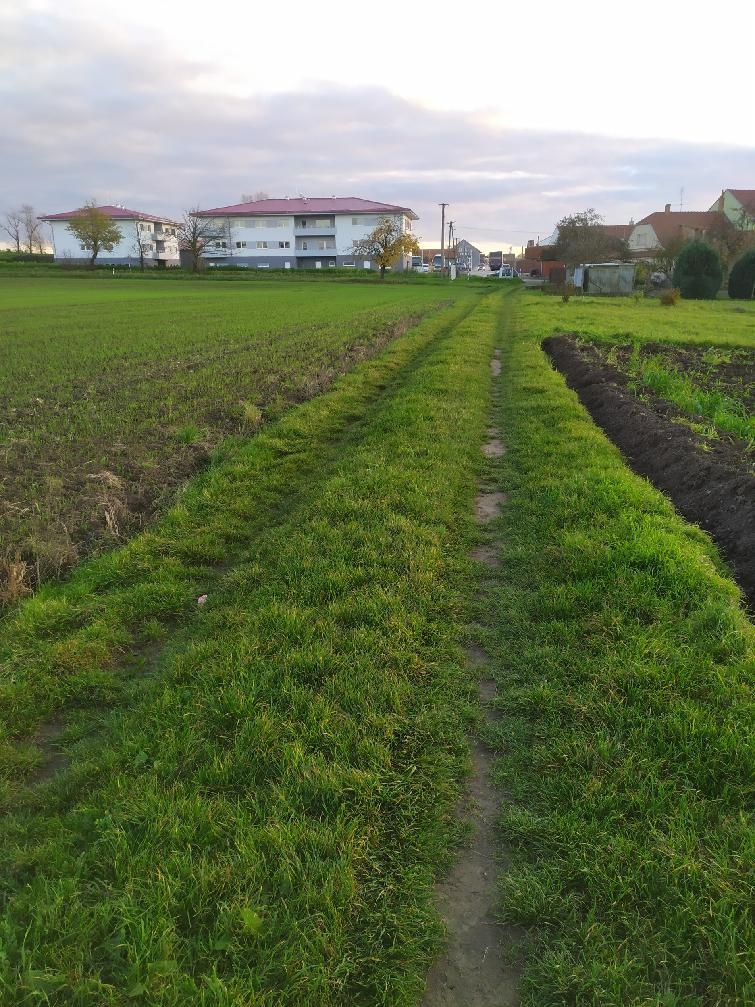 Pozemek Kobylnice u Brna - 5