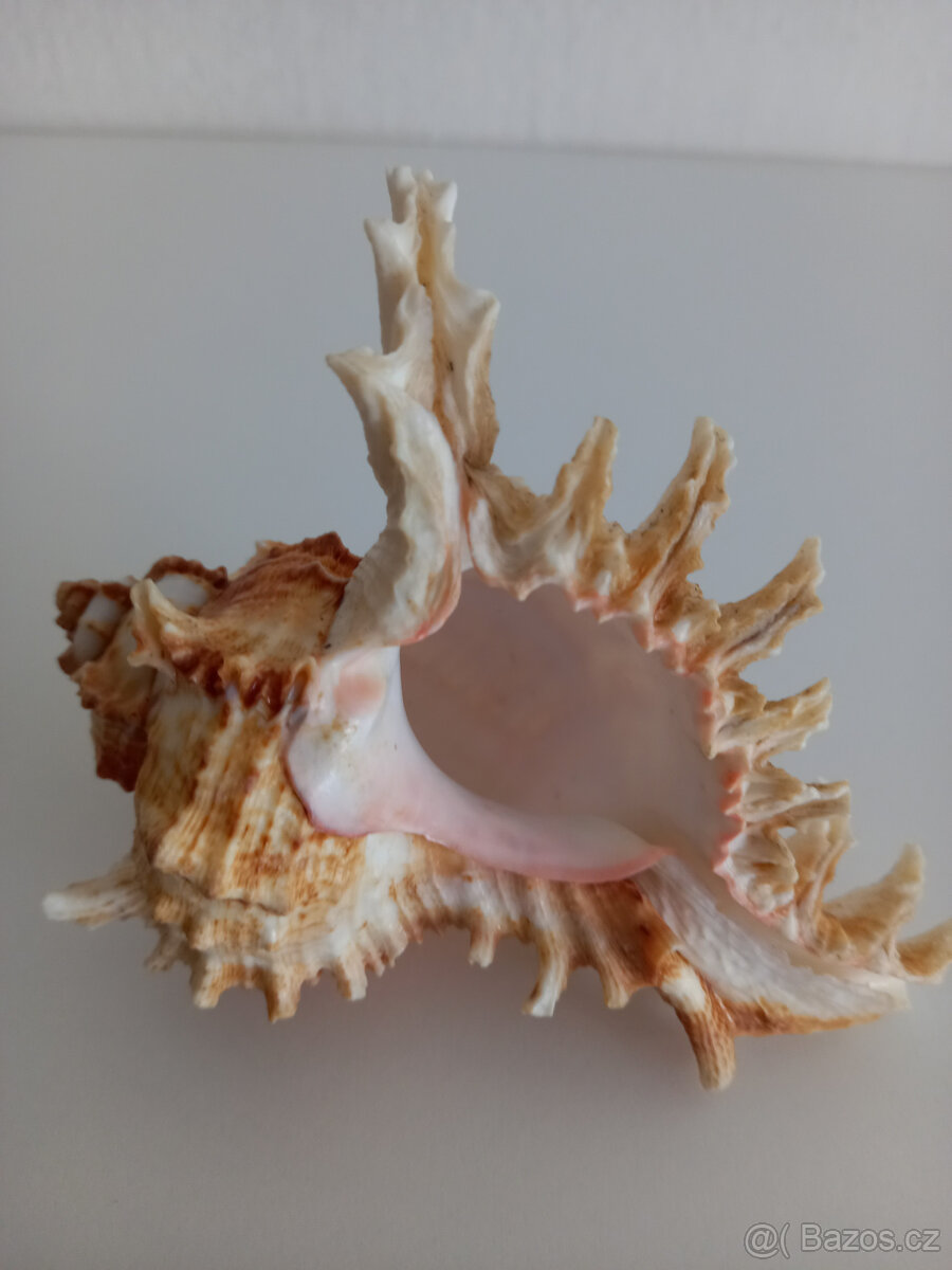 3 lastury + 2 písečné dolary - 5