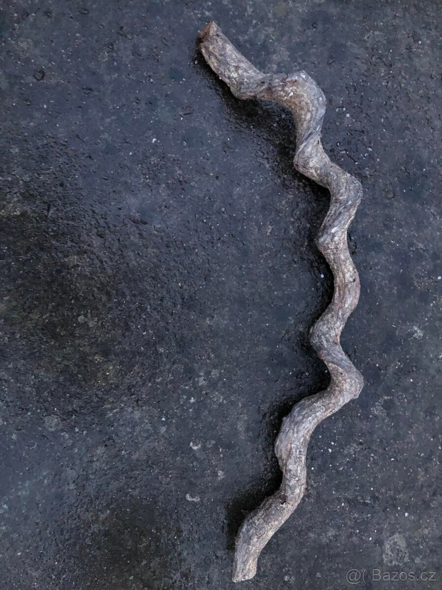 Přírodní liány - 5