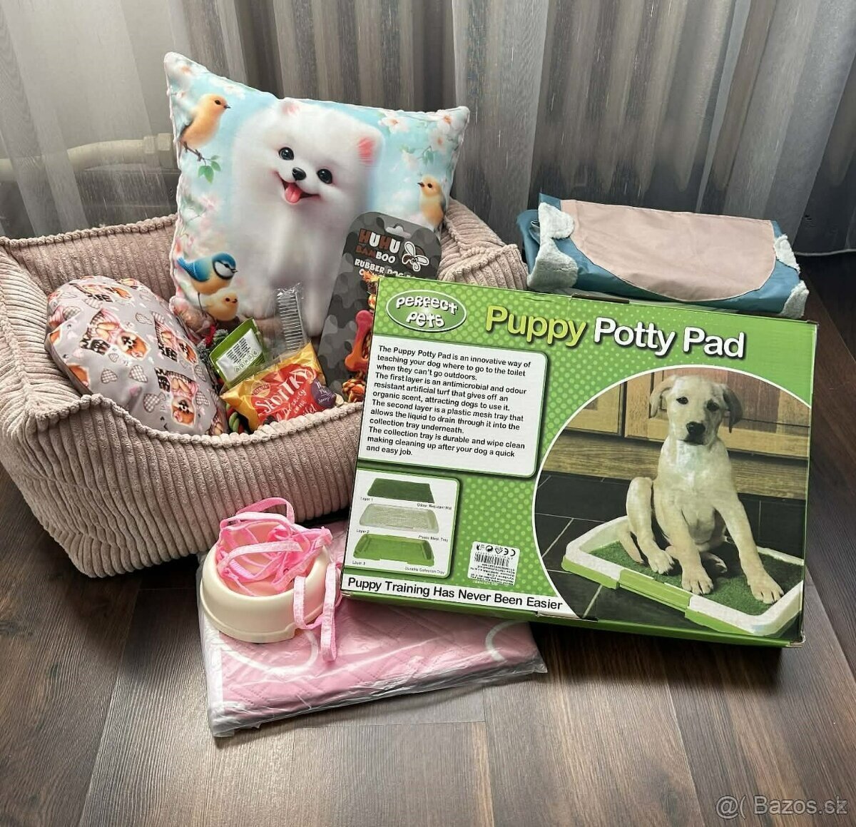 Pomeranian s PP, chovatelská stanica Nucháčik poms - 5