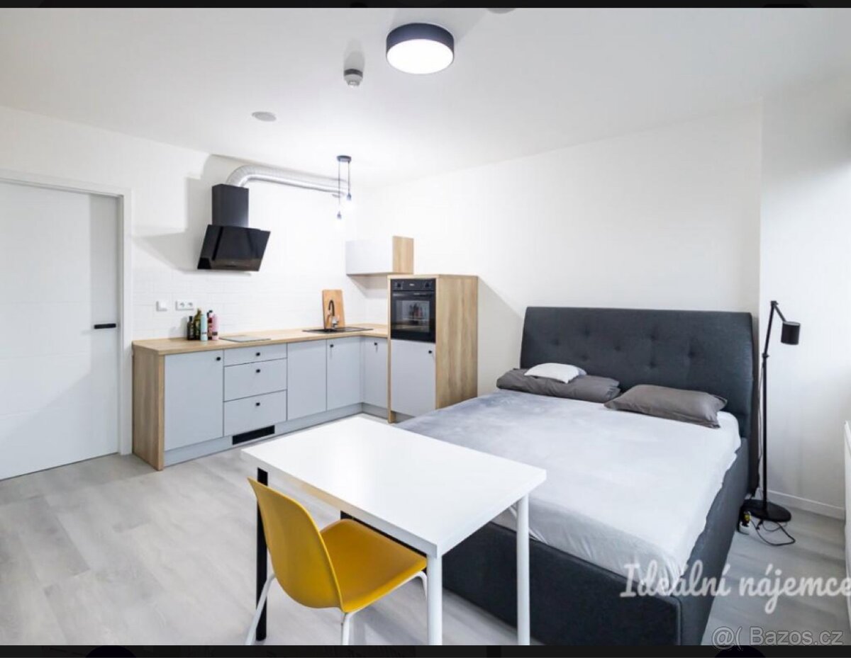Pronájem byty - 5